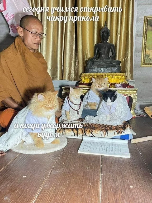 Смешные скрины из соцсетей #102