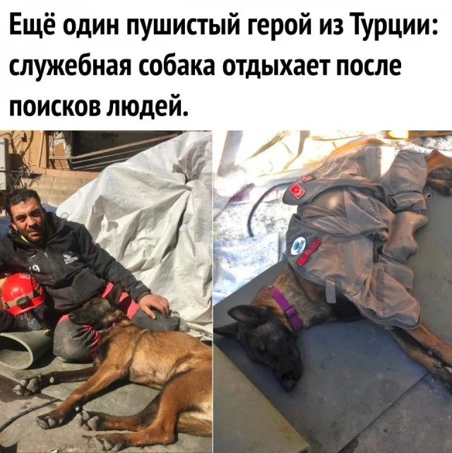 Свежо и актуально