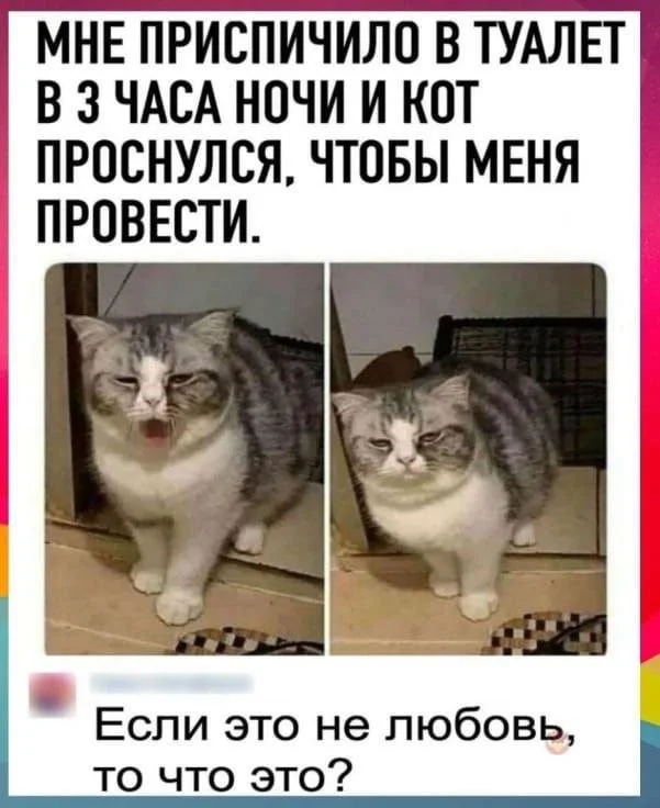 Смешные скрины из соцсетей #107