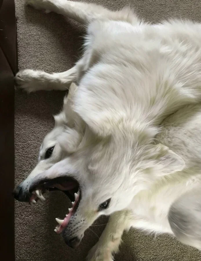 Оптические иллюзии на фото: 16 кадров, что легко запутают Оптические иллюзии на фото: 16 кадров, что легко запутают