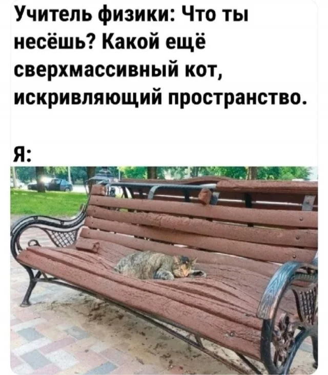 Смешные скрины из соцсетей #113