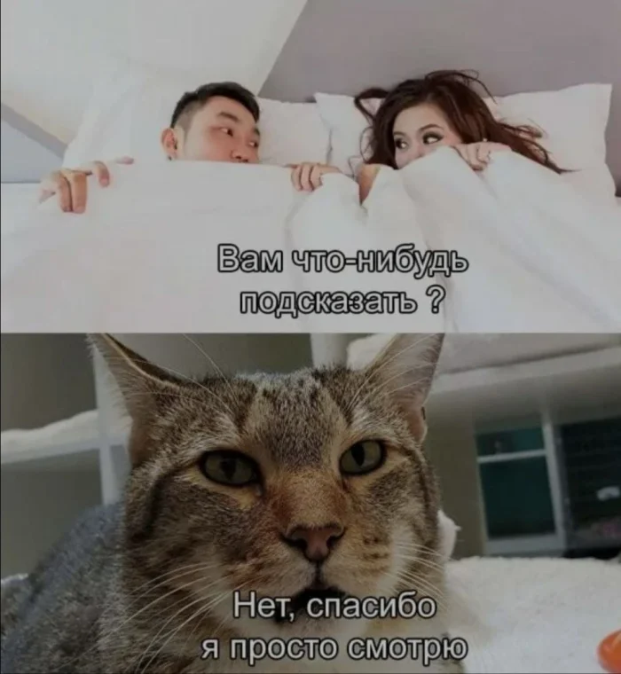 Нестандартный юмор #481 Нестандартный юмор #481