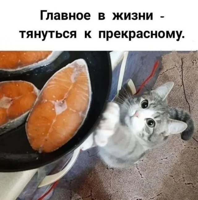 Держите баяны