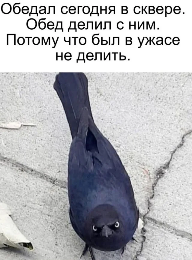 Вот и деградация