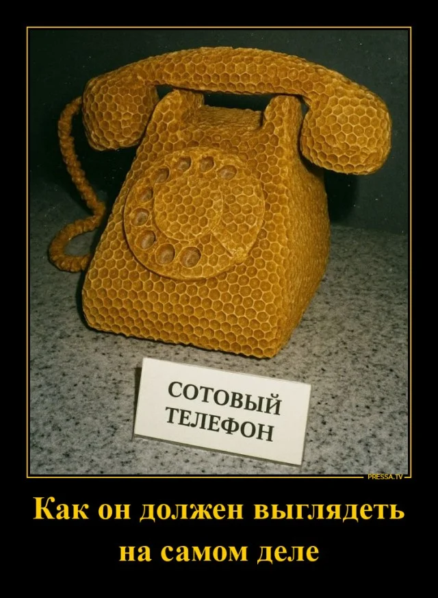 Деградирующие приколы