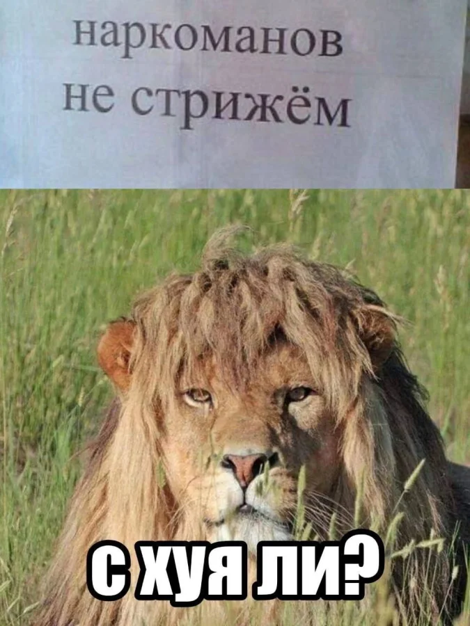 Нестандартный юмор #480 Нестандартный юмор #480