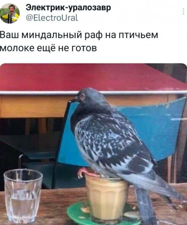 Держите баяны