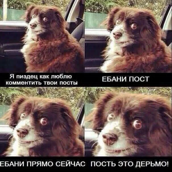 Отличные мемы