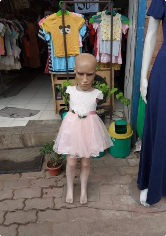 Фото вне здравого смысла: 20 примеров абсурда