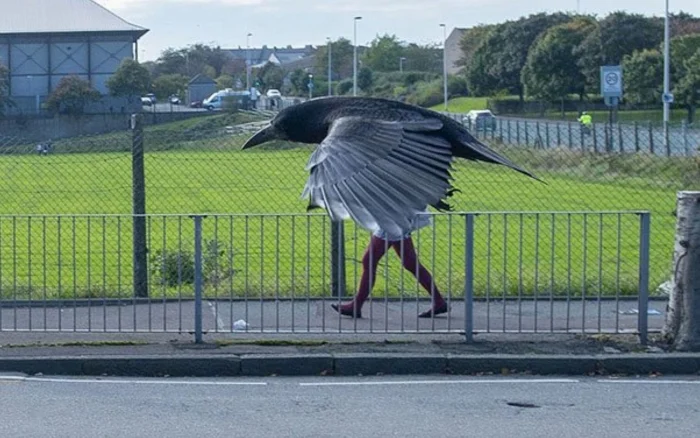 Фото вне здравого смысла: 20 примеров абсурда