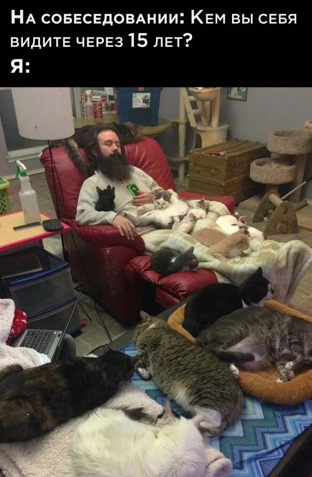 Свежо и актуально