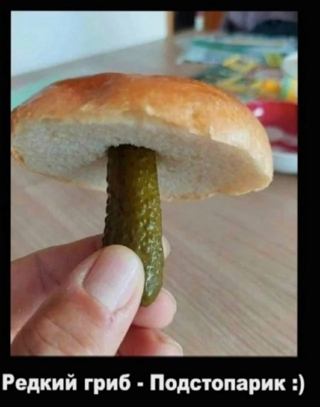 Свежо и хорошо: Приколы