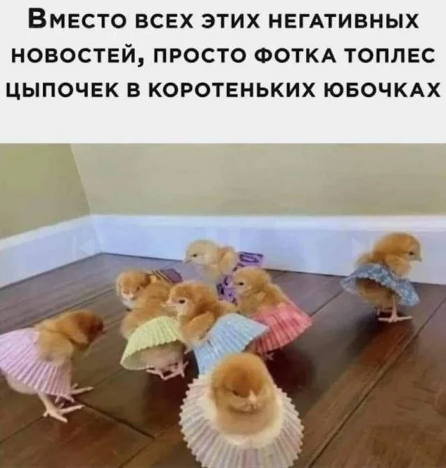 Смешные скрины из соцсетей #106 Смешные скрины из соцсетей #106