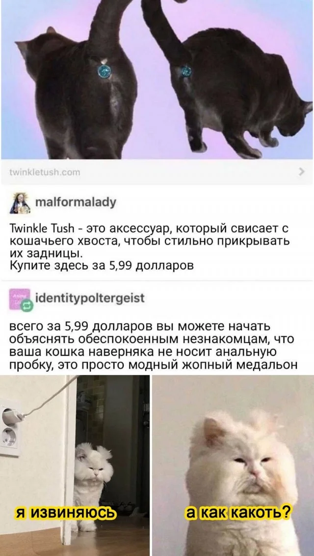 А вот и свежие мемы