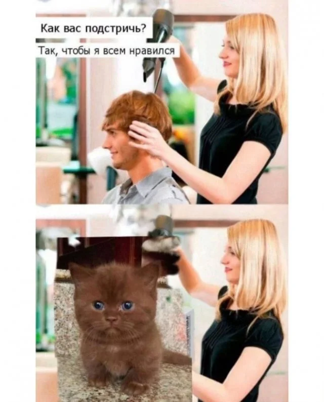 Смешные скрины из соцсетей #105