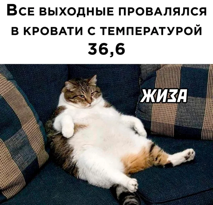 Нестандартный юмор #473