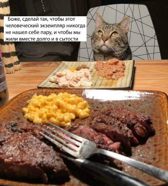 Классные приколы