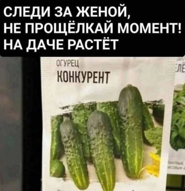 Ну давай деграднем
