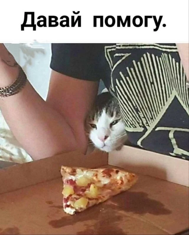 Мемы в ленту