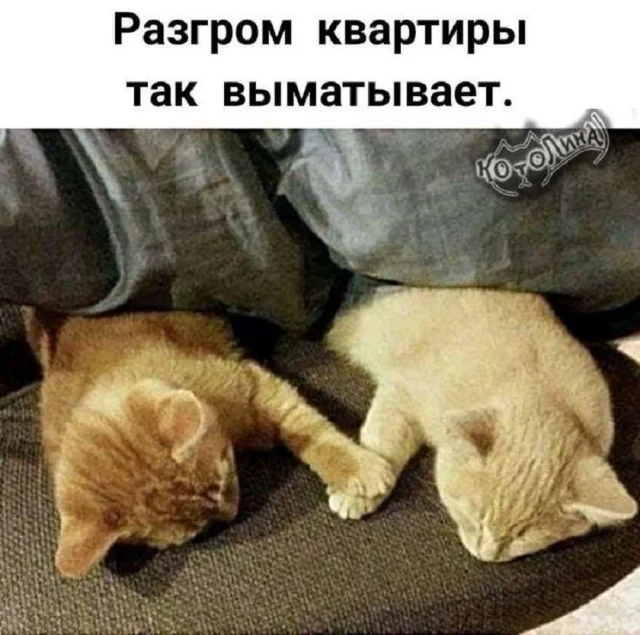 Подборка веселых и свежих мемов