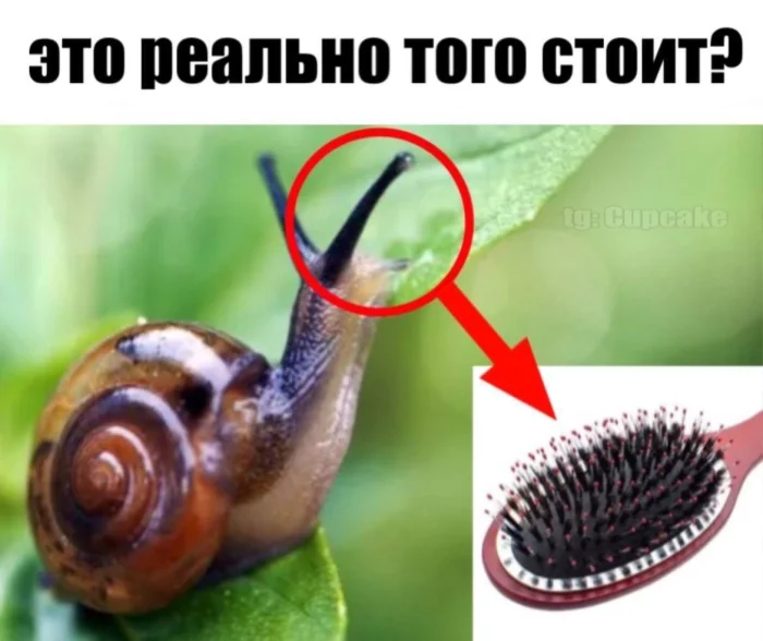 Нестандартный юмор #478