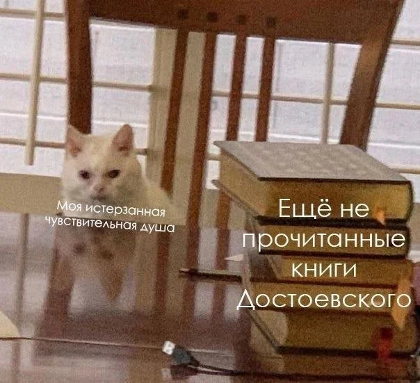 Смешные скрины из соцсетей #102