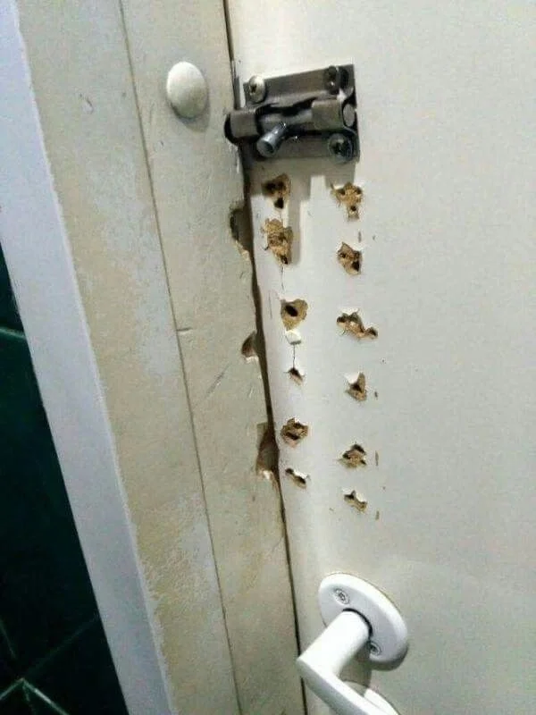 Рукожопы в наличии