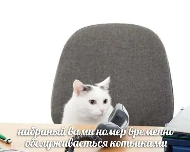 Смешные скрины из соцсетей #109 Смешные скрины из соцсетей #109