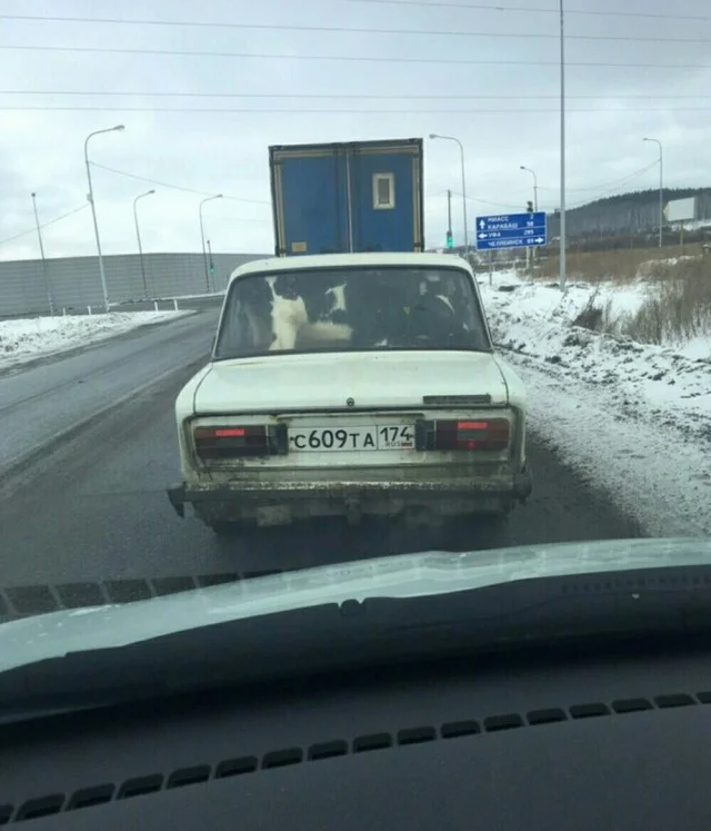 Чо, не смешно?! Смешно!