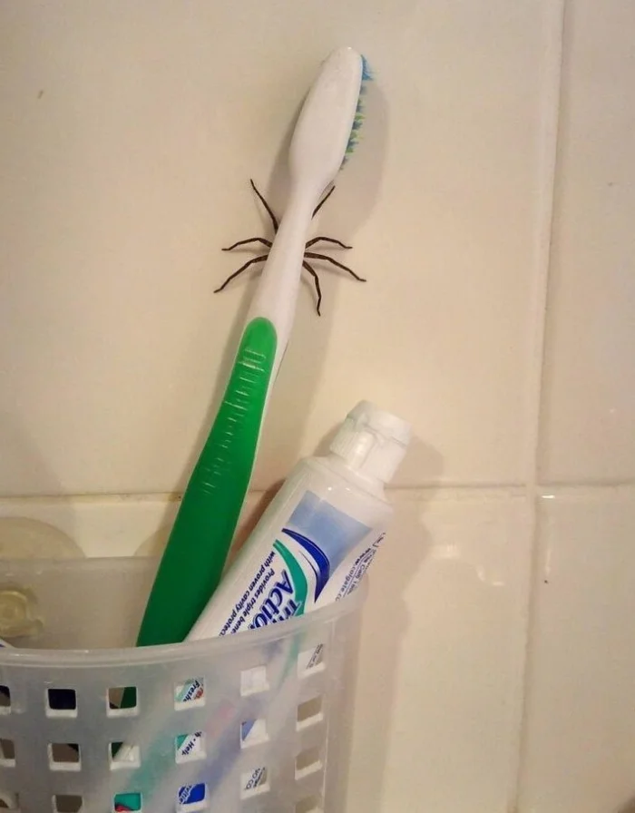 Фото вне здравого смысла: 20 примеров абсурда