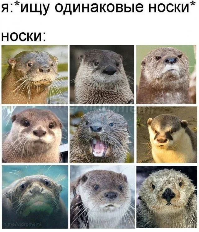 Смешные скрины из соцсетей #112