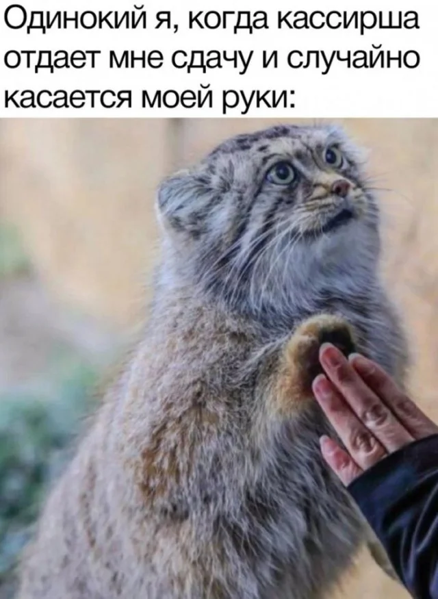 Ну давай деграднем