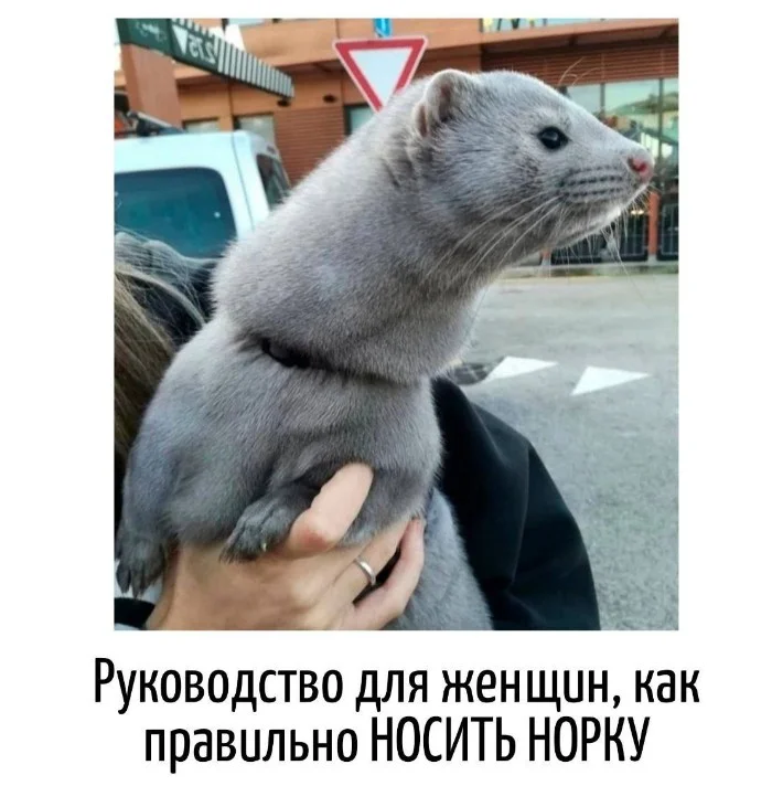 Игра слов – каламбуры, словесный юмор и прикольные картинки #112 Игра слов – каламбуры, словесный юмор и прикольные картинки #112