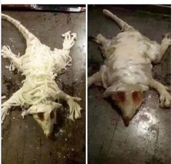 Кушать подано