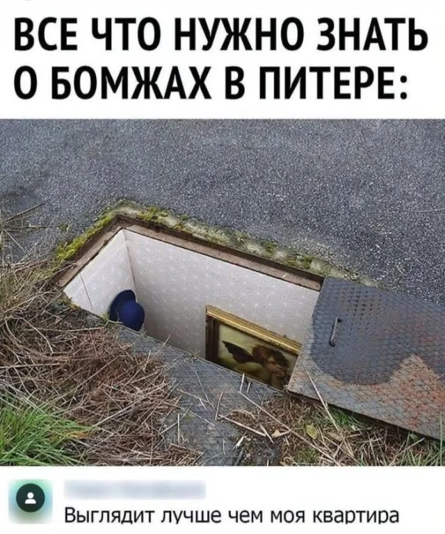 Деградация в мемах