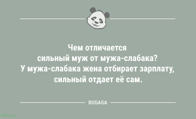 Свежий сборник анекдотов: «Главное, что нужно усвоить в жизни…» 