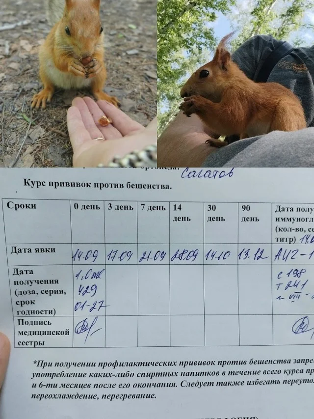 А вот и свежие мемы