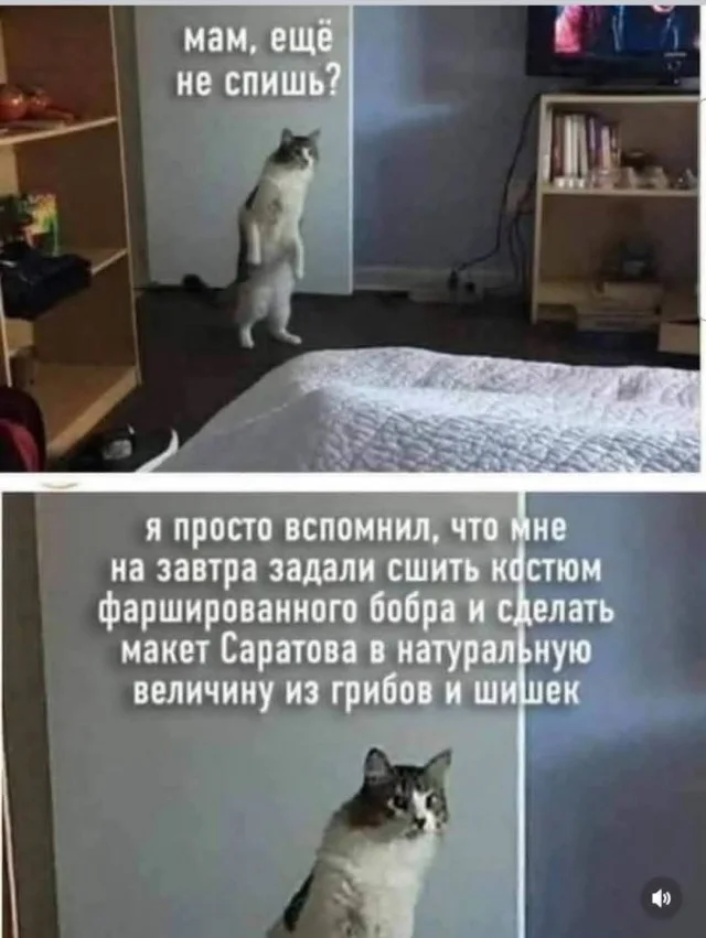 Очередная подборка мемов