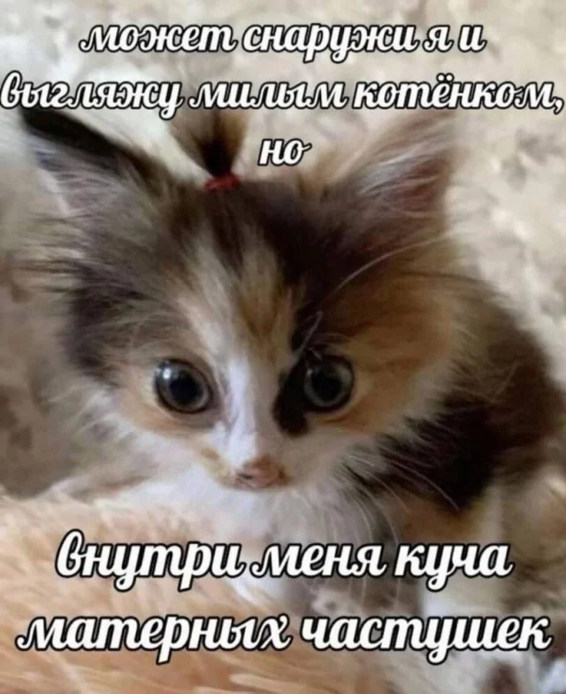 Тупость в картинках