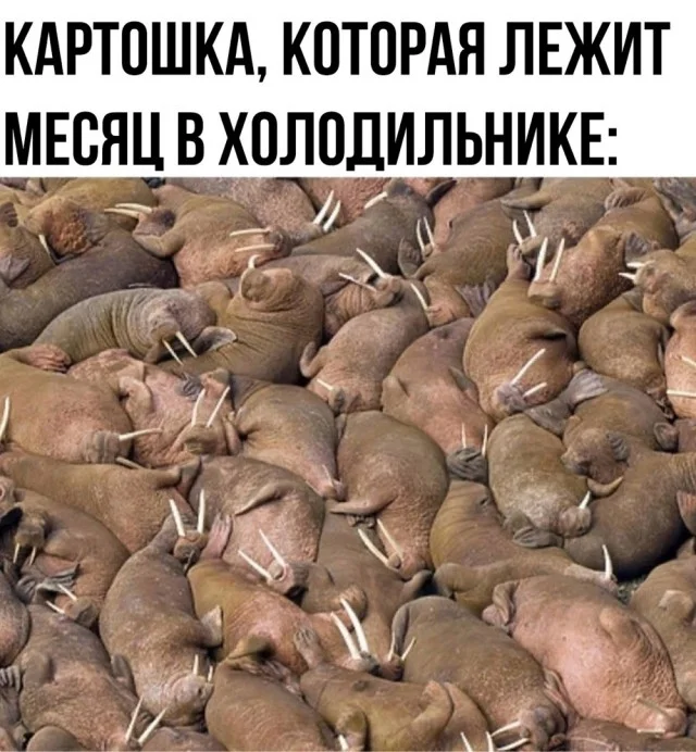 Для деградации