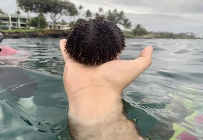 Оптические иллюзии на фото: 16 кадров, что легко запутают Оптические иллюзии на фото: 16 кадров, что легко запутают