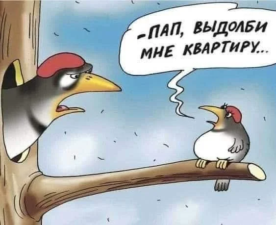 Ну давай деграднем