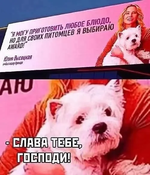 Отличные мемы