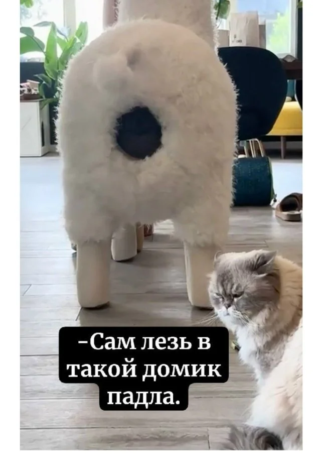 Подборка веселых и свежих мемов