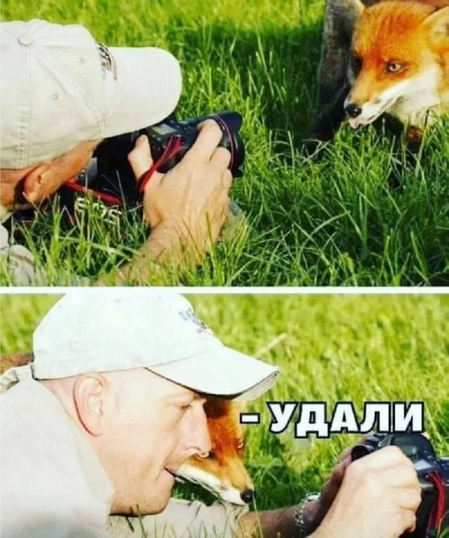 Классные приколы: свежо и смешно #1