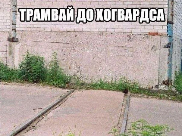 Юбилейная доза смеха — подборка мемов по Гарри Поттеру Юбилейная доза смеха — подборка мемов по Гарри Поттеру