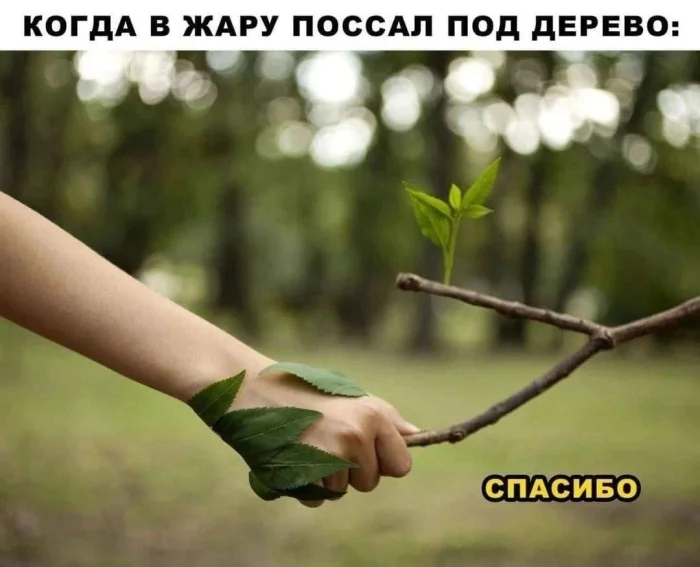 Нестандартный юмор #480 Нестандартный юмор #480