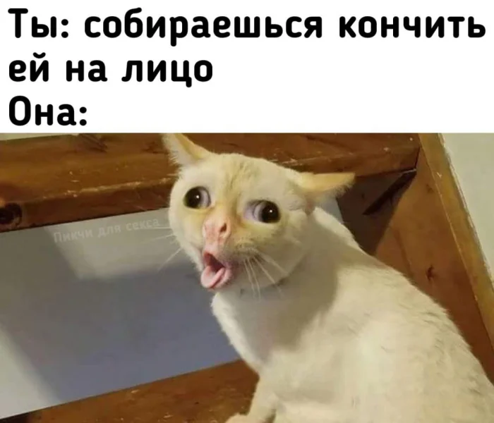 Нестандартный юмор #480 Нестандартный юмор #480