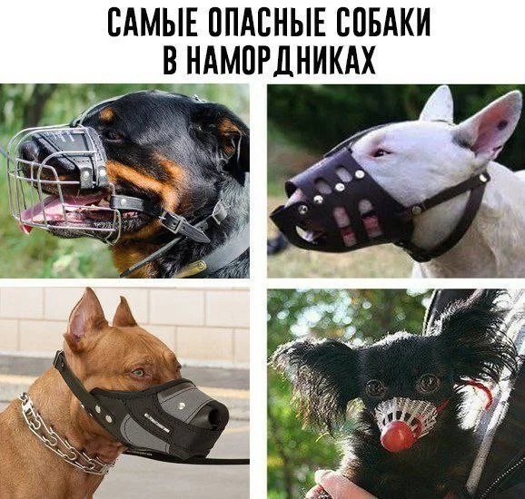 Странные картинки