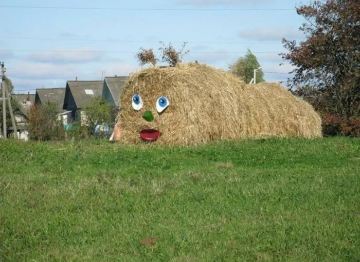 Лучшие примеры поговорки «Голь на выдумки хитра» в жизни Лучшие примеры поговорки «Голь на выдумки хитра» в жизни